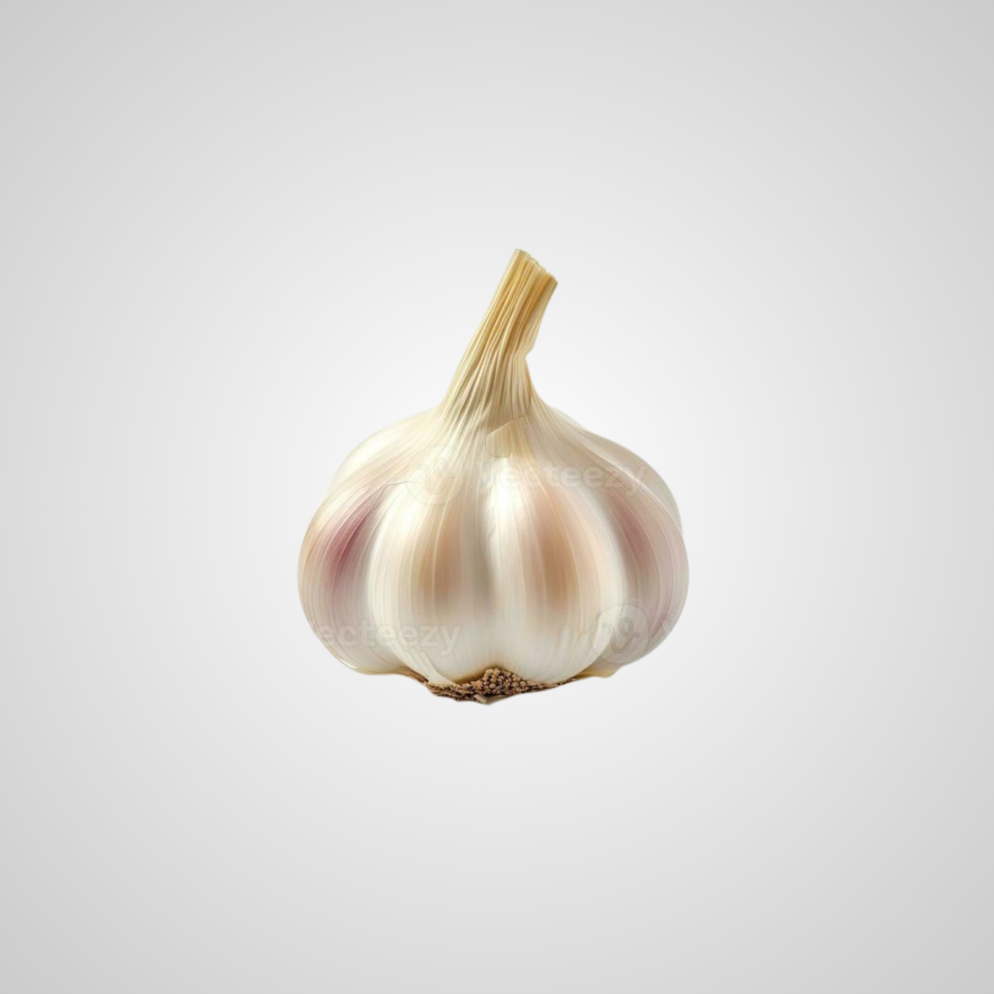 Cabeza de Ajo - Unidad