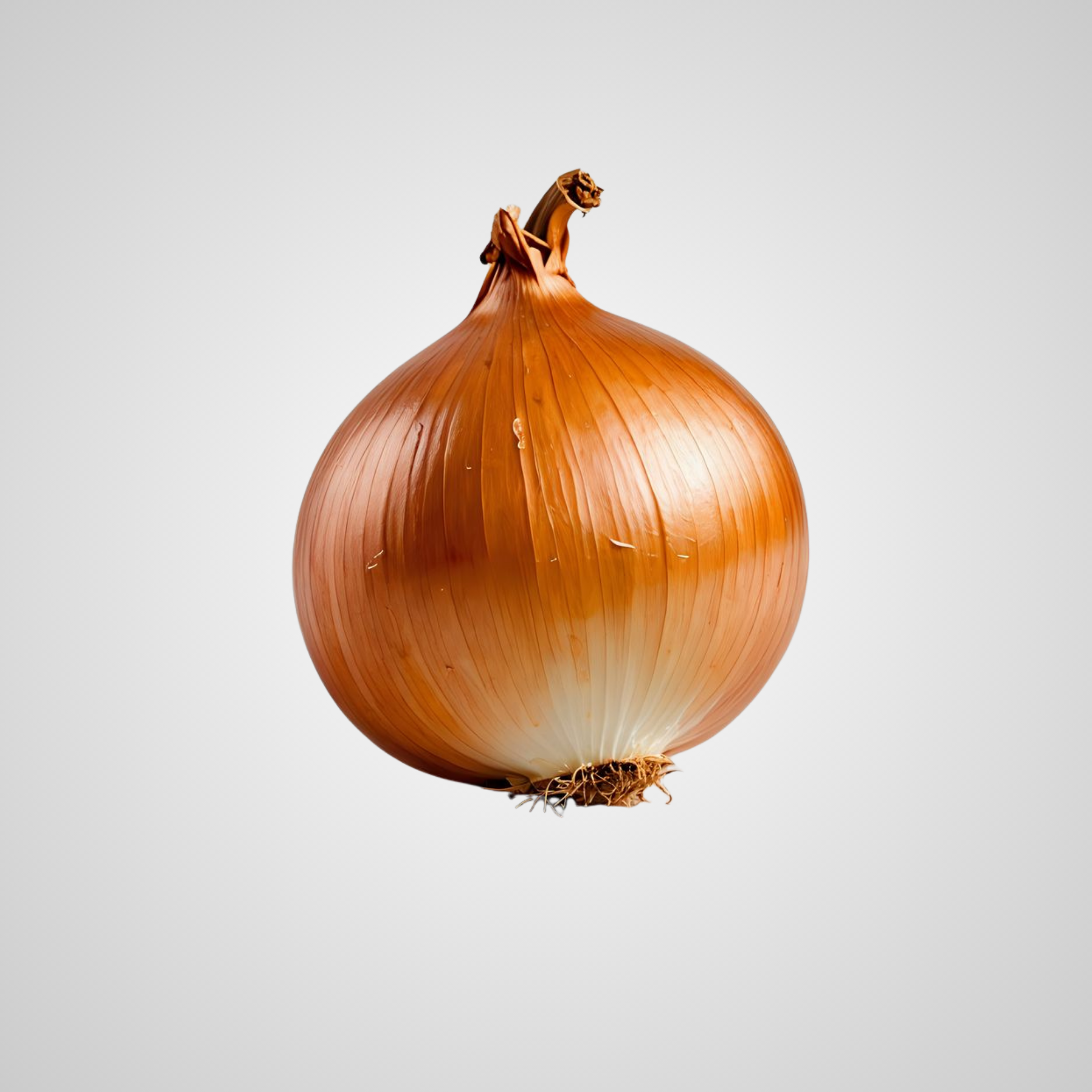 Cebolla Blanca - Kilo